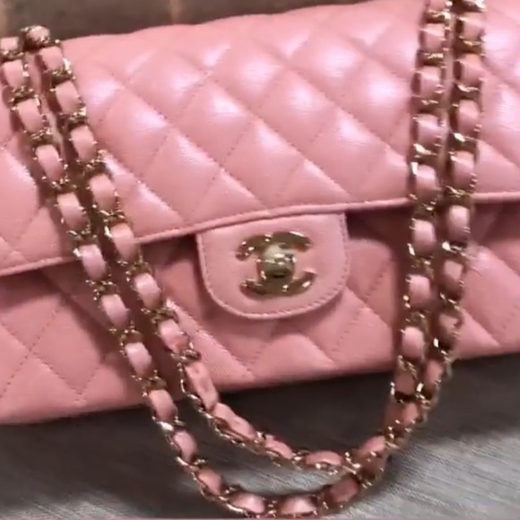 Meet your Posher, Sophi - Picture 3 of 4